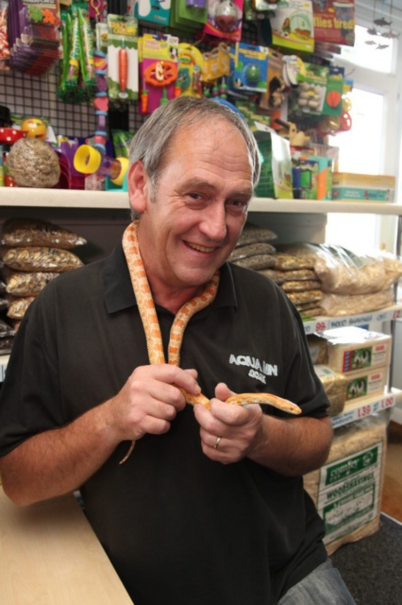 Main image for Snake reunited with owner