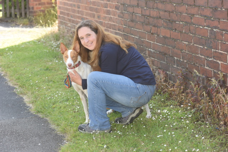 Main image for Woman sets up a dog hotel