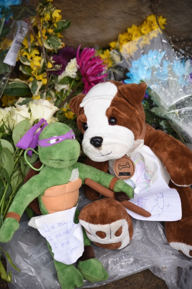 Main image for Inquest to open on tragic seven-year-old