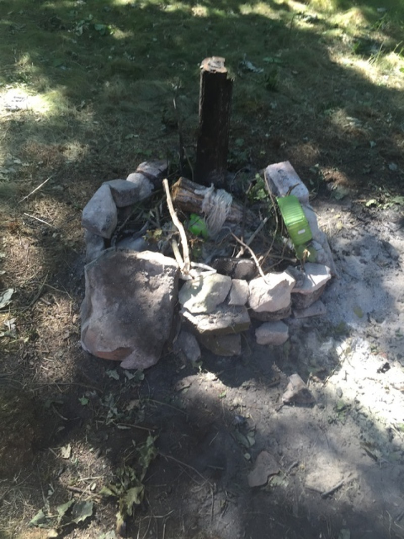 Main image for Residents concern as homeless move into wood