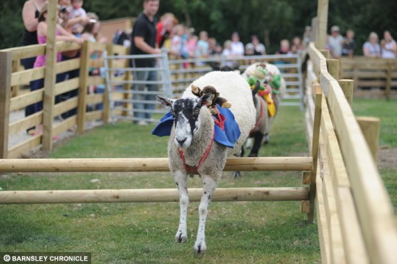 Main image for Farm shortlisted for tourism award
