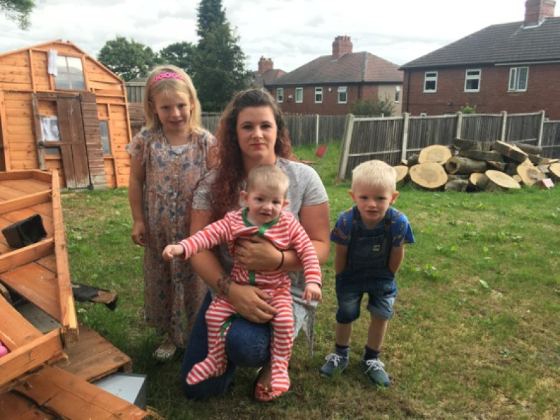 Main image for Mum hits out over tree damage