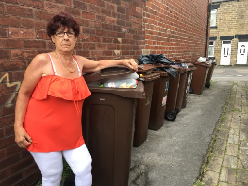 Main image for Councillor denies bin ‘crisis’
