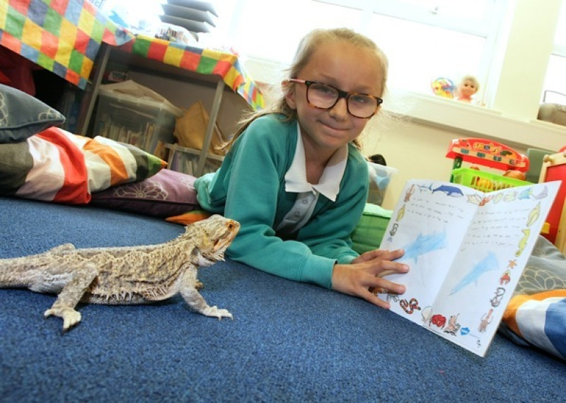 Main image for Group helps kids read with confidence