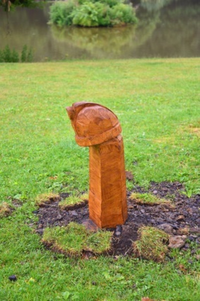Main image for Wooden carving causes a stir