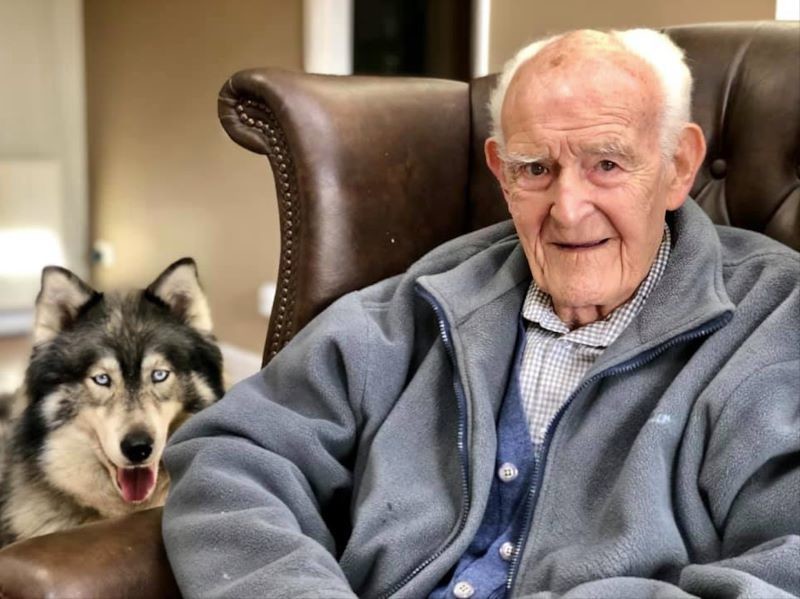 Main image for Huskies being used to boost patients’ wellbeing
