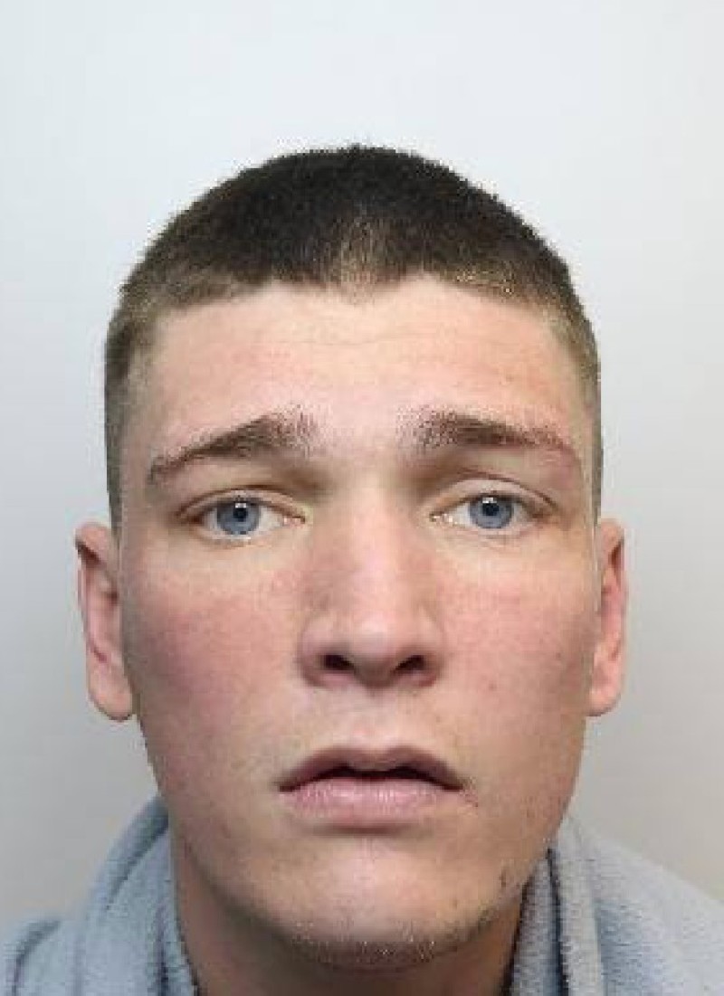 Main image for Jail for police car vandal