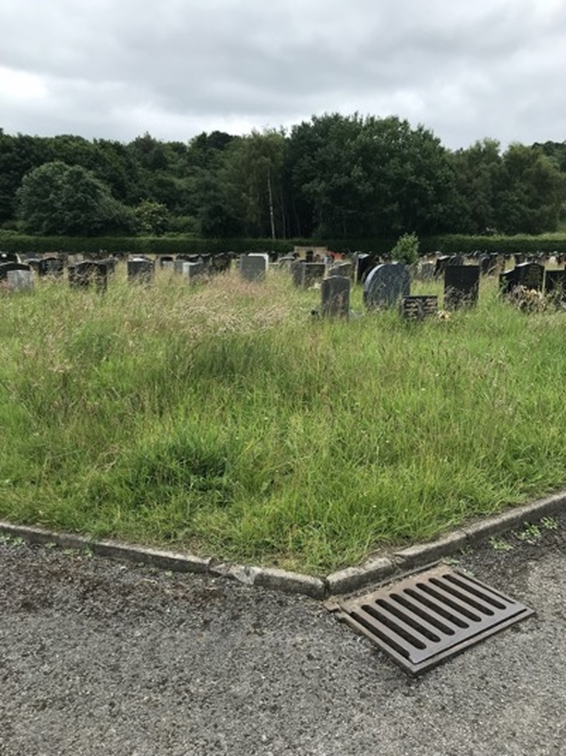 Main image for Cemetery’s state shocks family