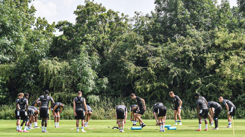 Main image for COMMENT: A position by position look at Reds squad