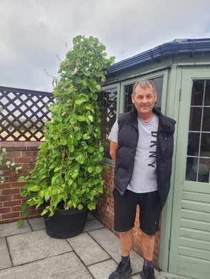 Andrew Dolman’s garden in Broomhill