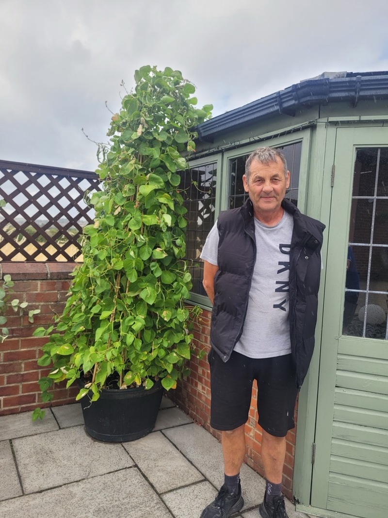 Andrew Dolman’s garden in Broomhill
