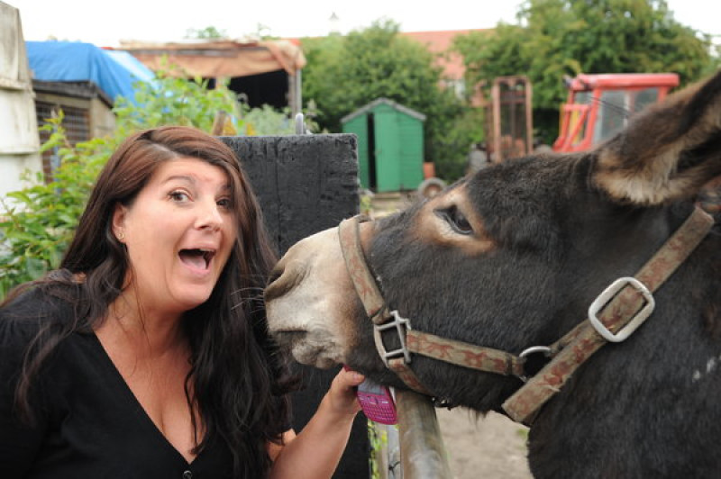 Main image for Villagers bray over noisy donkey