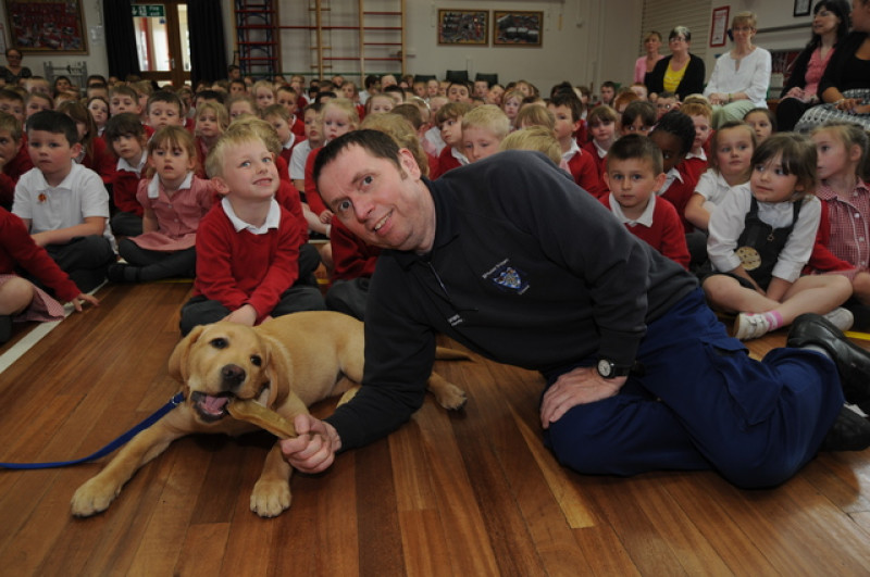 Main image for School nominated for guide dog sponsorship