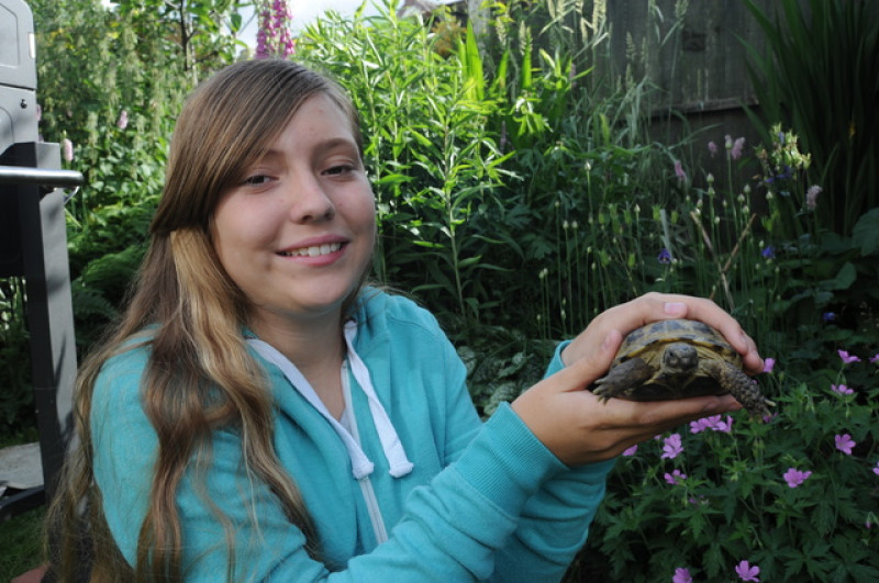 Main image for How 'Little Mo' the tortoise got his name