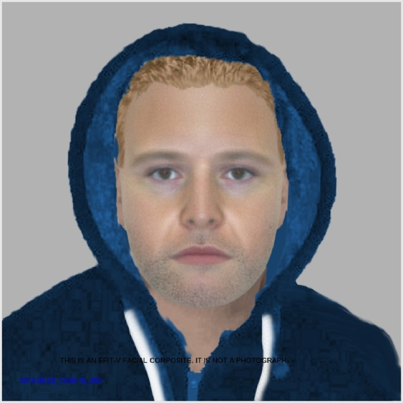 Main image for E-fits of wanted men released