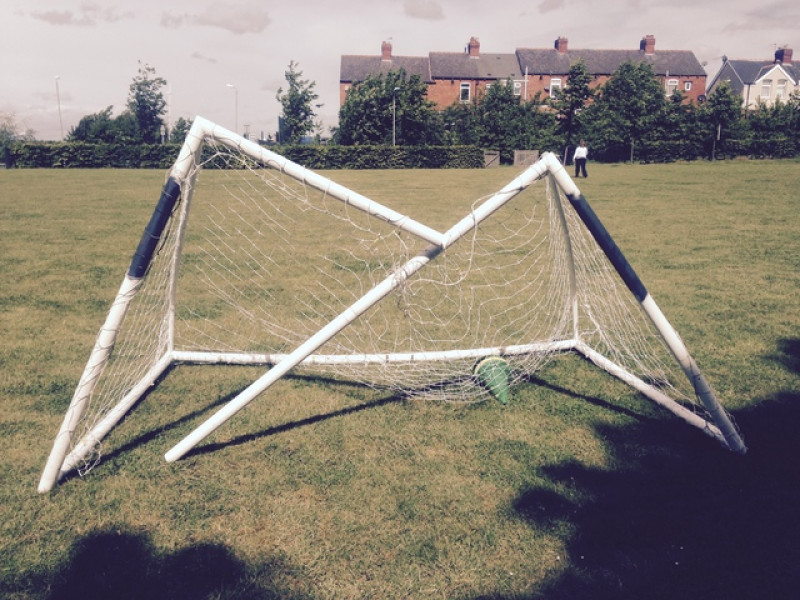 Main image for Heartless thieves steal kids goalposts