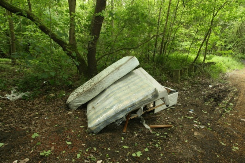 Main image for Forest supervisor hits out at flytipping