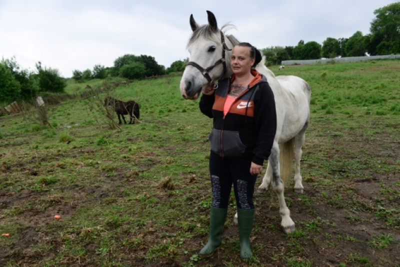Main image for Woman warns horse owners to be vigilant