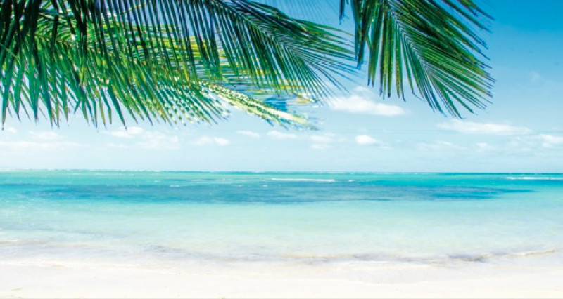 Main image for Parents warned against term time holidays