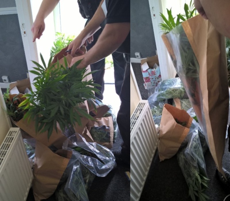 Main image for Appeal for information after drugs seized