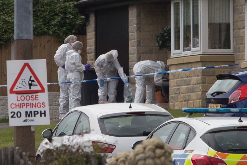 Main image for Detectives launch murder probe