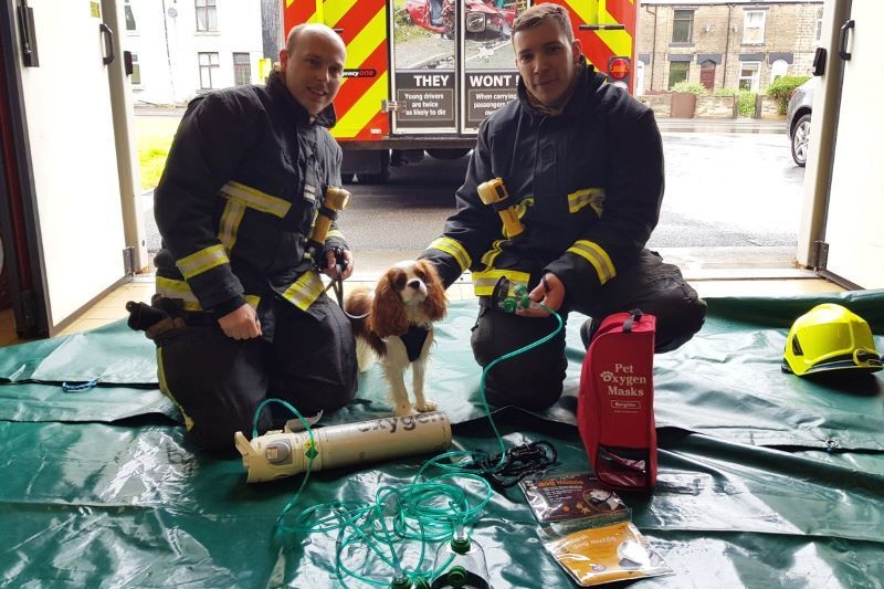 Main image for Smokey Paws will give pets a lifeline in the case of fire