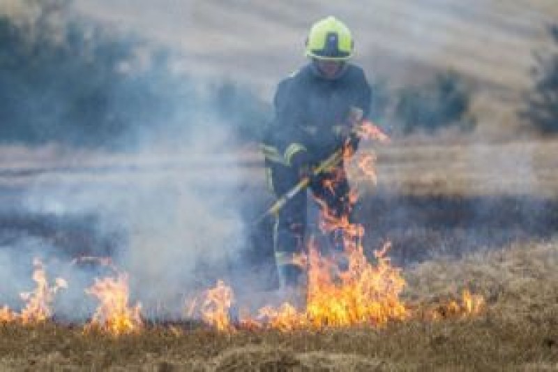 Main image for More arson worries due to longer grass