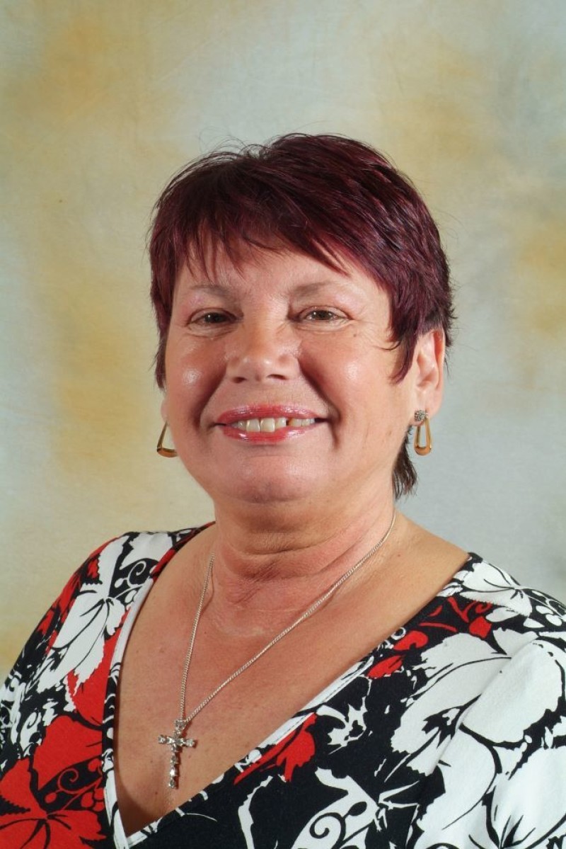 Main image for Decision on school meals plan deferred