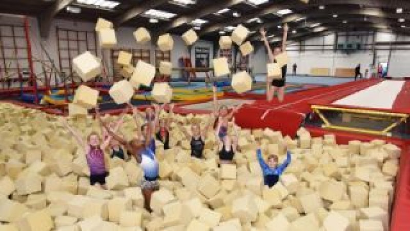 Main image for Gymnastics club appeals for members to join its ranks