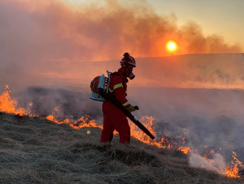 Main image for Soaring temperatures worry countryside rangers