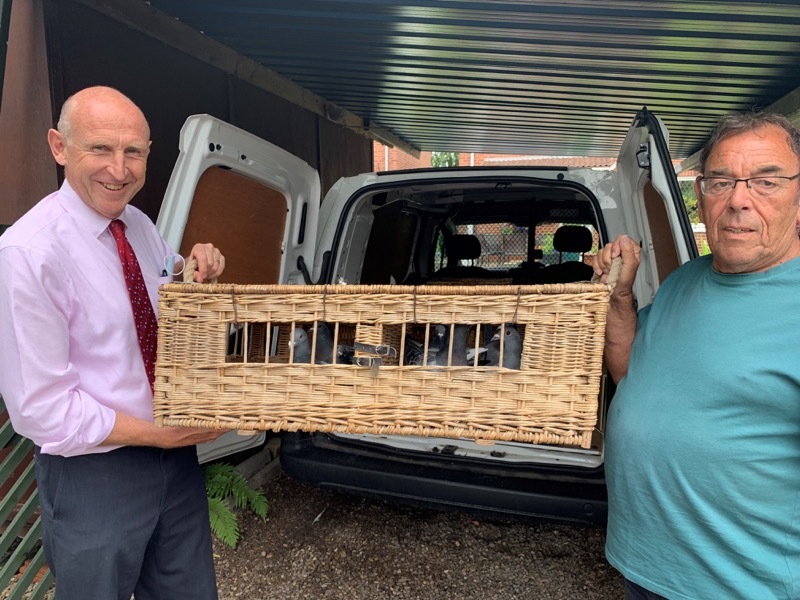 Main image for MP battles to overturn new EU pigeon racing rules