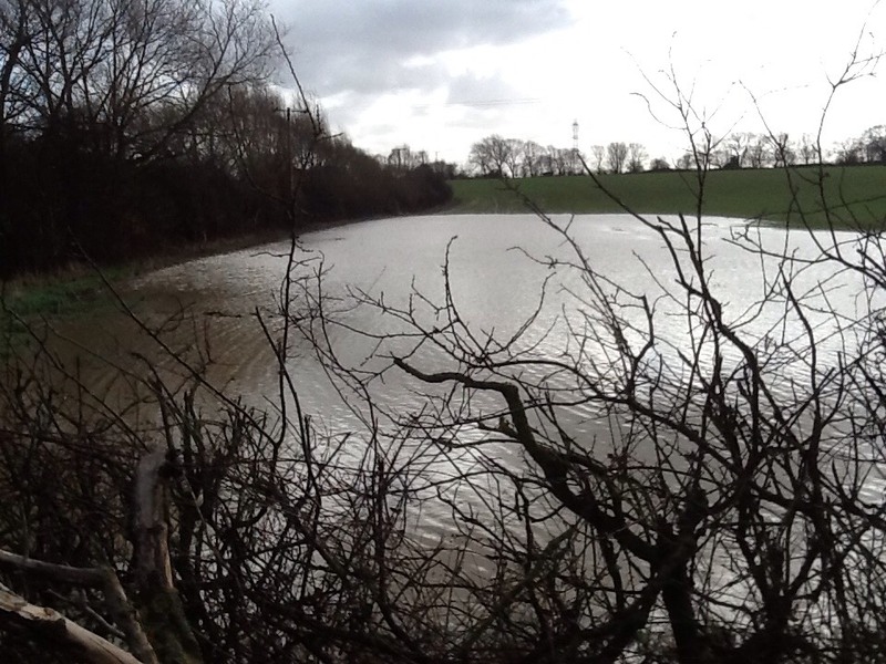 Main image for Housing plan submitted for ‘flood-prone’ site