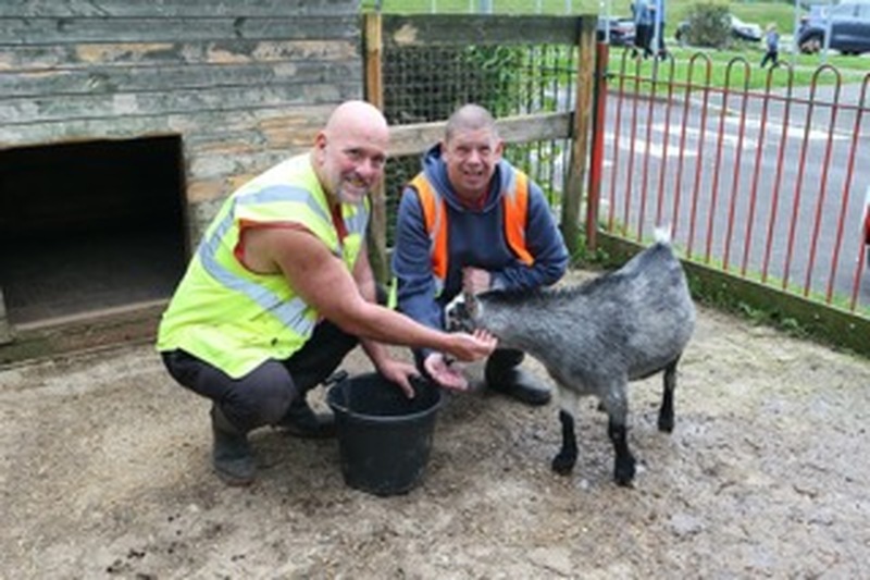 Main image for Community farm set to find new home