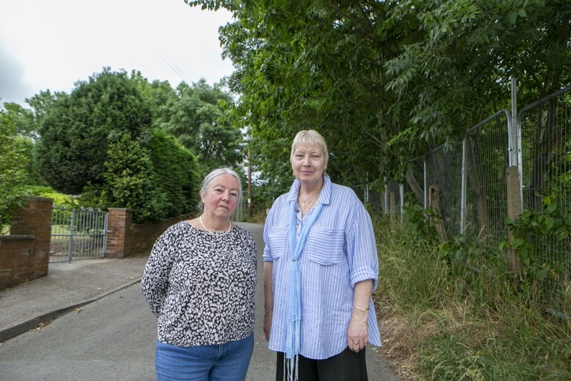 Main image for Tree removal plan slammed by locals