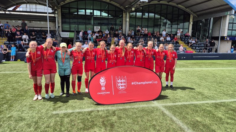 Main image for Girls suffer agonising final defeat