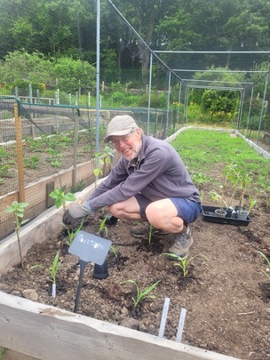 Springvale Community Garden