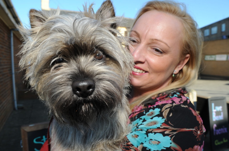 Main image for Hoyland dog picks up Crufts title