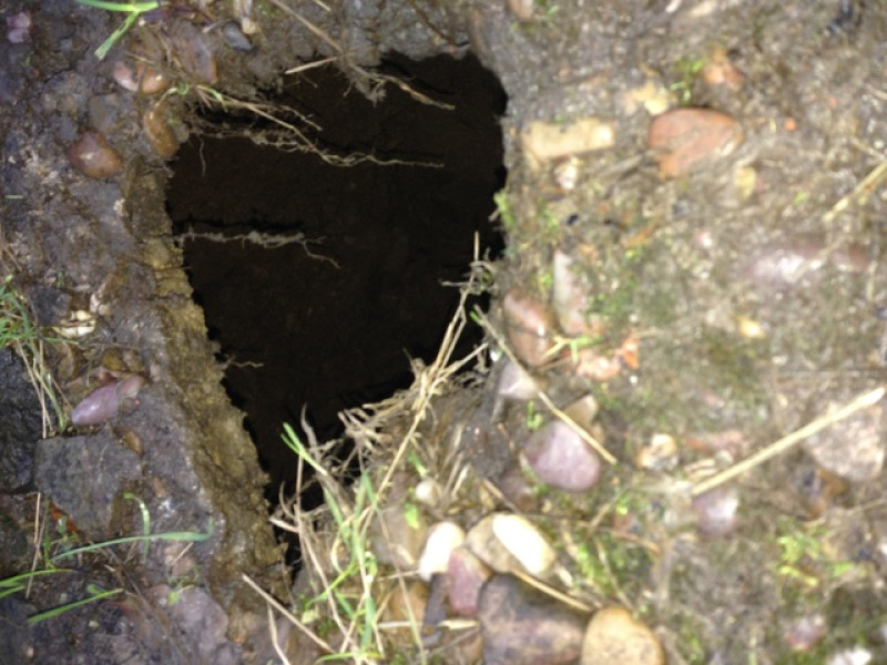 Main image for Tankersley ground collapse shock