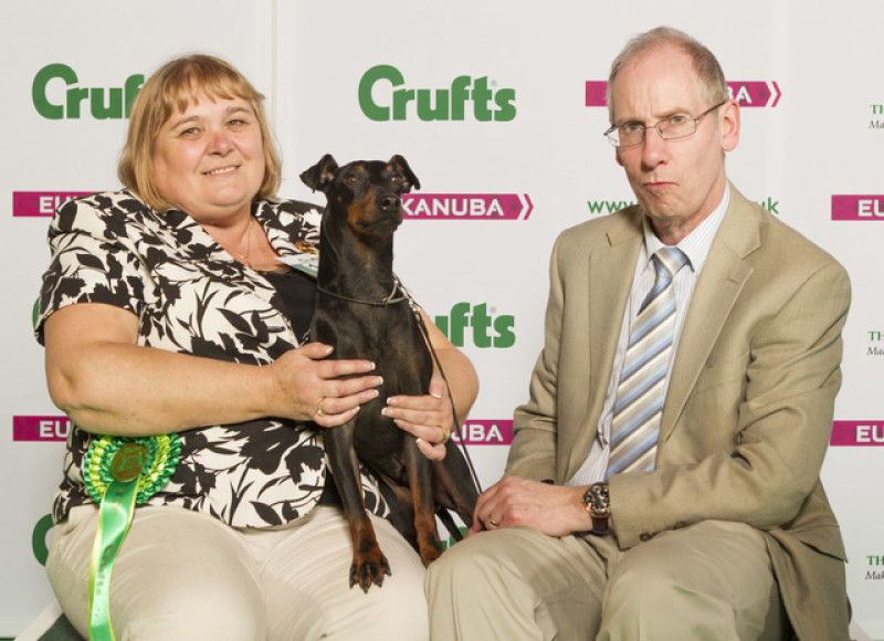 Main image for Worsbrough pooch named top dog at Crufts