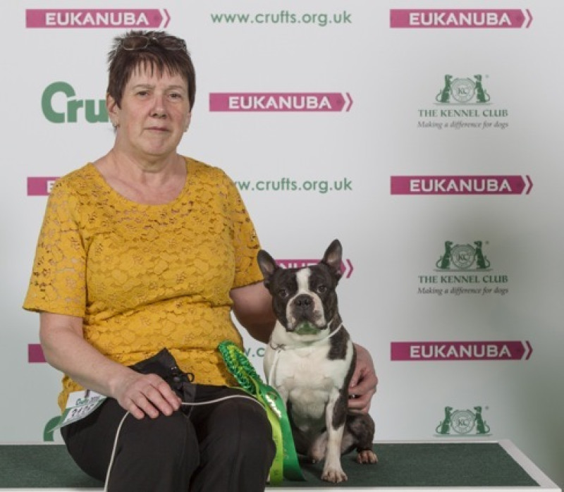 Main image for Nurse celebrates Crufts win