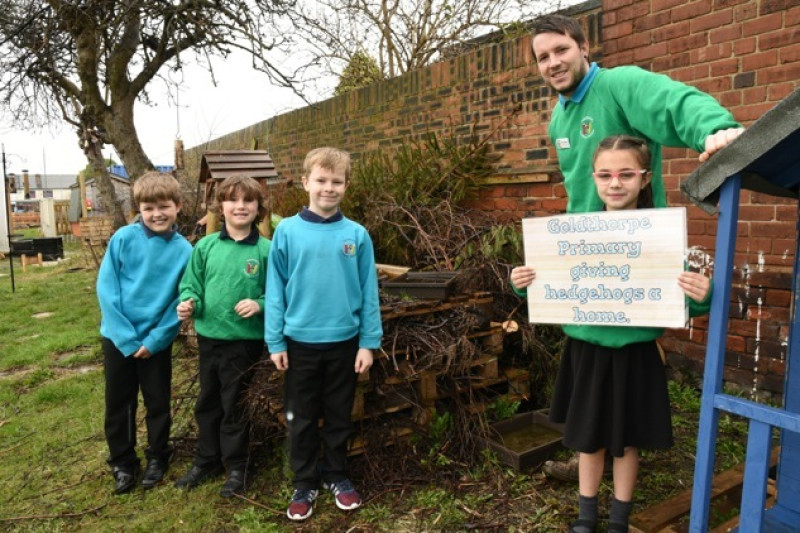 Main image for School kids launch hedgehog rescue