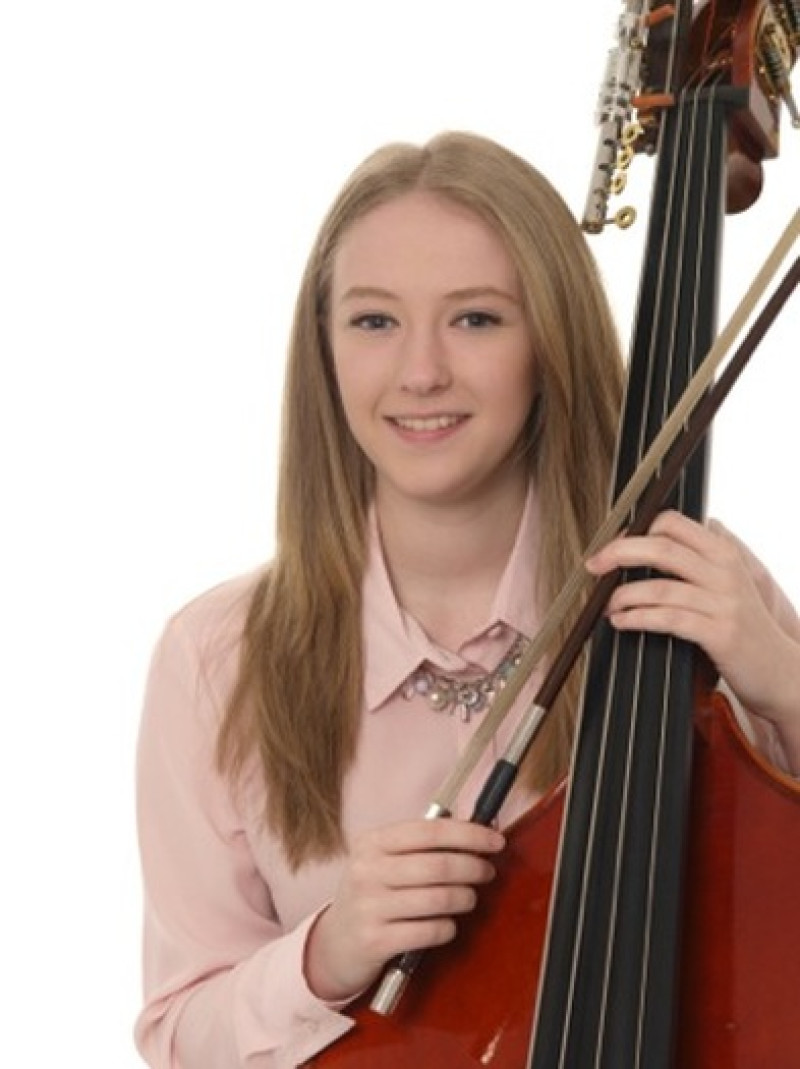 Main image for Talented musician feeling plucky
