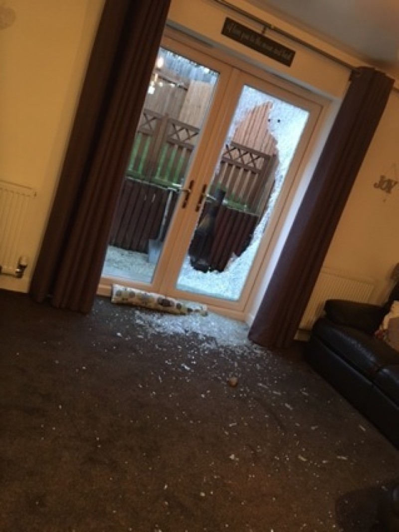 Main image for Police say burglaries are down