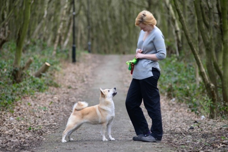 Main image for Barnsley dog is Crufts champion