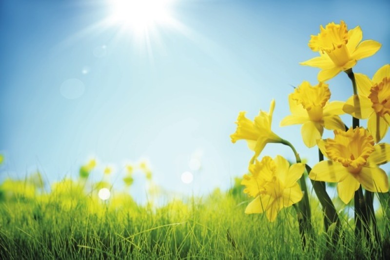 Main image for Stocksbridge up for Ramblers accolade
