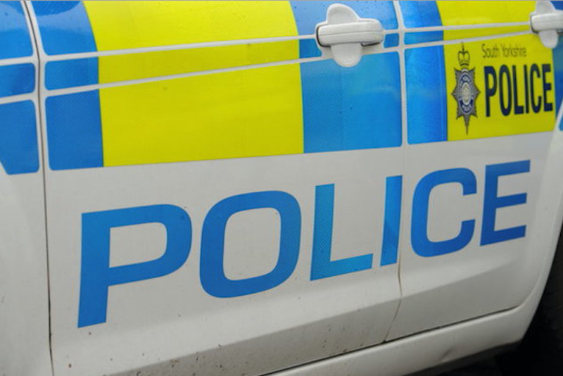 Main image for Barnsley police officers used to keep peace in Sheffield tree row