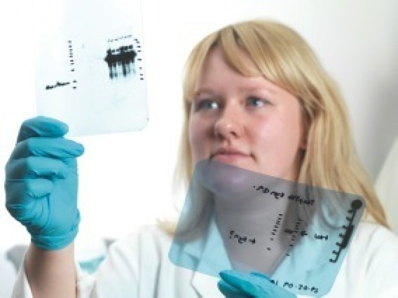 Main image for Doctor Selina Wray honoured for ‘outstanding’ research