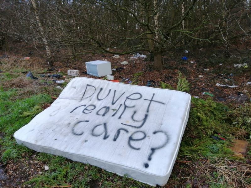 Main image for Dumping goes from bed to worse...
