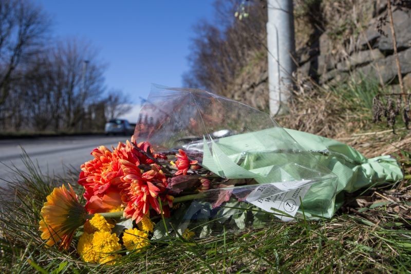 Main image for Calls for a speed review after fatality