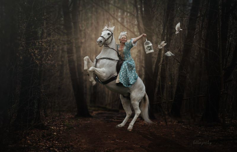 Main image for Photography is more than horseplay to Jane